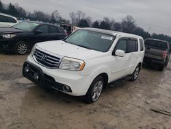 Honda salvage cars for sale: 2014 Honda Pilot Exln