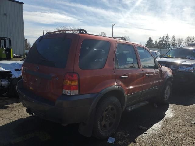 2006 Ford Escape XLT