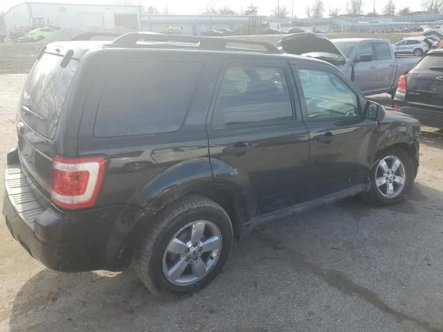 2010 Ford Escape XLT