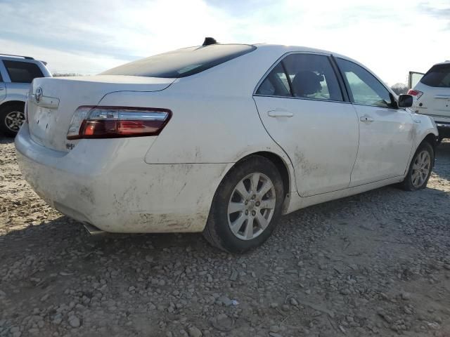 2007 Toyota Camry Hybrid