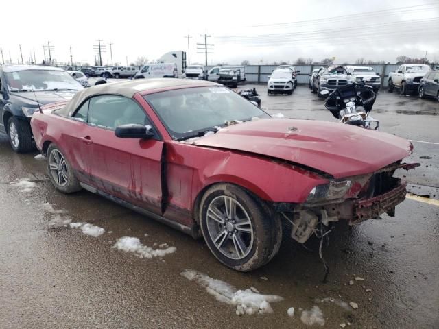 2010 Ford Mustang