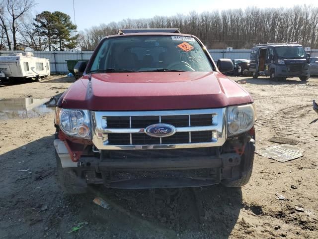 2009 Ford Escape XLT