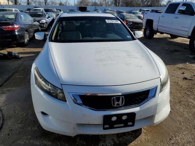 2010 Honda Accord EXL