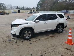 2024 Honda Pilot EXL for sale in Knightdale, NC