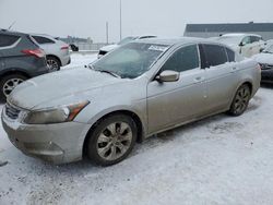 Honda Accord EXL salvage cars for sale: 2010 Honda Accord EXL