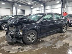 Salvage cars for sale at Ham Lake, MN auction: 2017 Hyundai Sonata SE