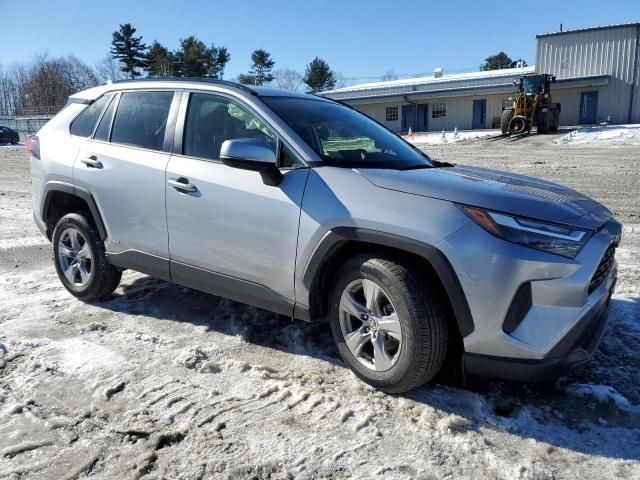 2023 Toyota Rav4 LE