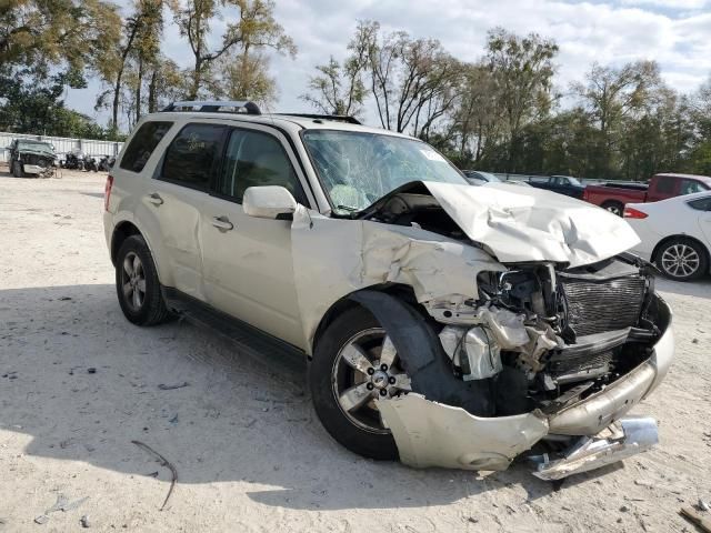 2009 Ford Escape Limited