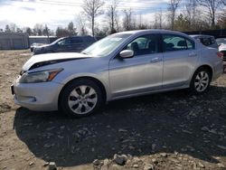 Honda Accord salvage cars for sale: 2009 Honda Accord EXL