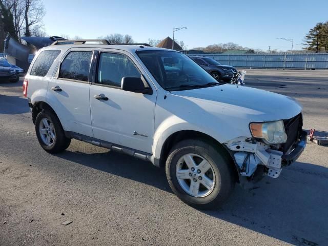 2009 Ford Escape Hybrid