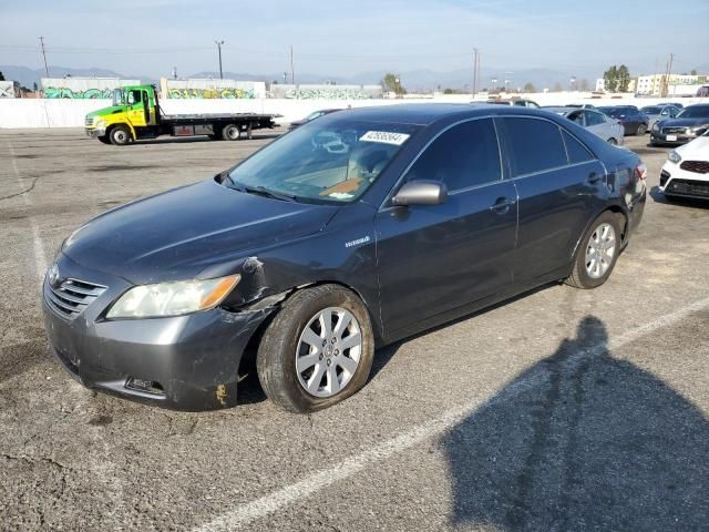 2009 Toyota Camry Hybrid