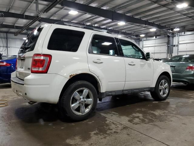 2011 Ford Escape Limited