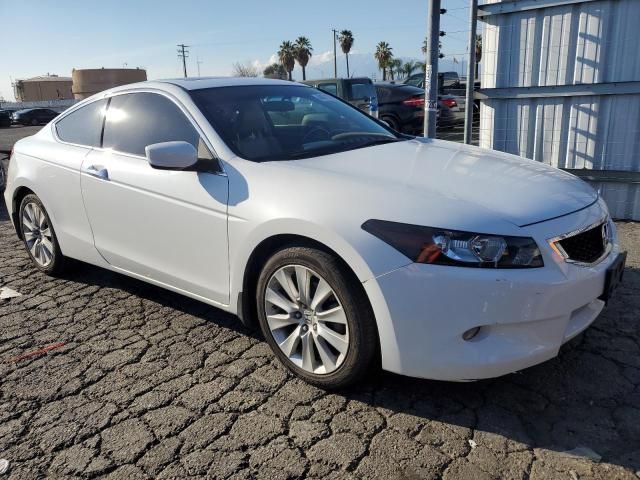 2009 Honda Accord EXL