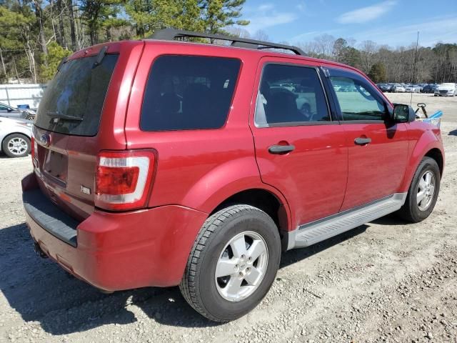 2011 Ford Escape XLT