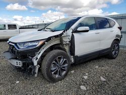 Salvage cars for sale at Reno, NV auction: 2022 Honda CR-V EXL