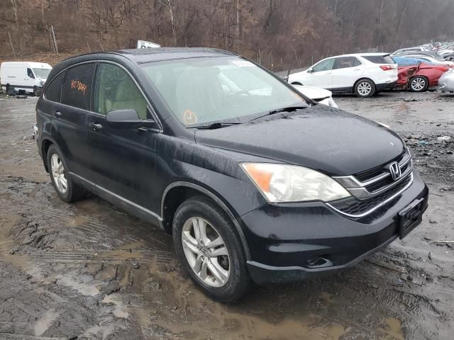 2010 Honda CR-V EX