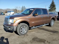 Ford salvage cars for sale: 2012 Ford F150 Supercrew