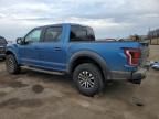 2019 Ford F150 Raptor