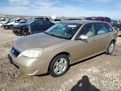 Flood-damaged cars for sale at auction: 2007 Chevrolet Malibu Maxx LT