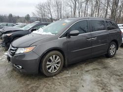 2015 Honda Odyssey EXL en venta en Candia, NH