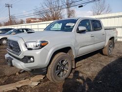 Salvage cars for sale from Copart New Britain, CT: 2019 Toyota Tacoma Double Cab