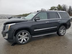 Salvage cars for sale from Copart Brookhaven, NY: 2015 Cadillac Escalade Luxury
