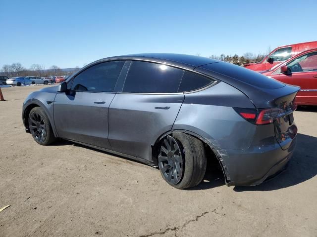 2020 Tesla Model Y