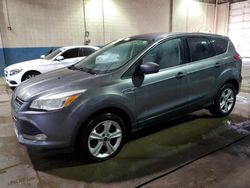 Salvage cars for sale from Copart Woodhaven, MI: 2014 Ford Escape SE