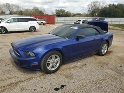 Salvage cars for sale at Theodore, AL auction: 2014 Ford Mustang