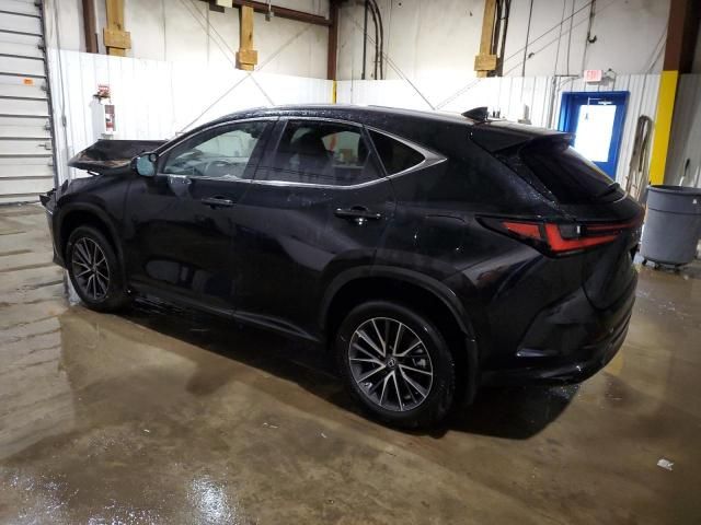 2023 Lexus NX 350H