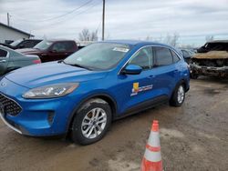 Salvage cars for sale from Copart Dyer, IN: 2020 Ford Escape SE