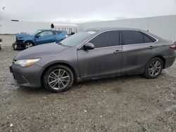 Toyota salvage cars for sale: 2015 Toyota Camry LE