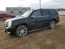 Salvage cars for sale at Bismarck, ND auction: 2013 Cadillac Escalade Premium