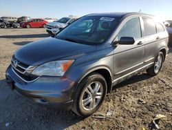 Salvage cars for sale at Earlington, KY auction: 2010 Honda CR-V EXL