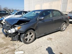 Vehiculos salvage en venta de Copart Lawrenceburg, KY: 2013 Toyota Corolla Base