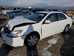 Honda salvage cars for sale: 2005 Honda Accord EX