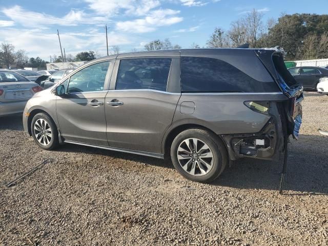 2022 Honda Odyssey EXL