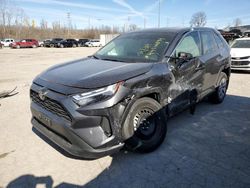 Toyota salvage cars for sale: 2023 Toyota Rav4 LE