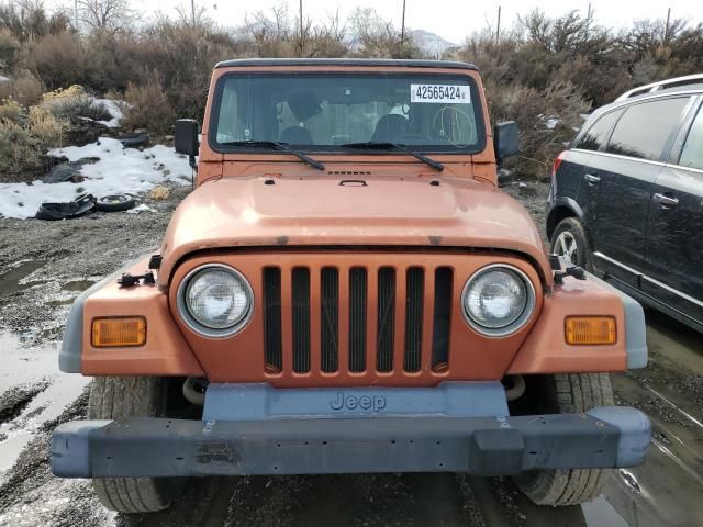 2001 Jeep Wrangler / TJ Sport