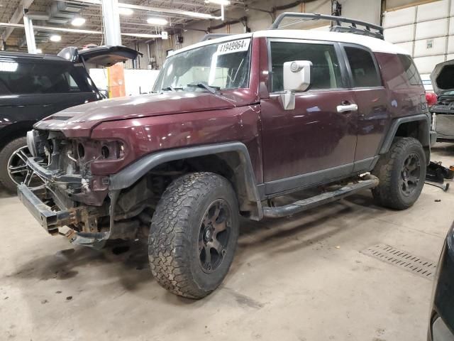 2007 Toyota FJ Cruiser