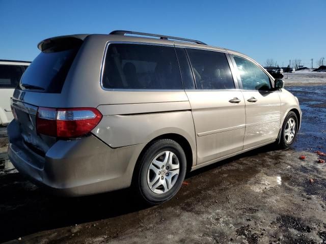 2006 Honda Odyssey EXL