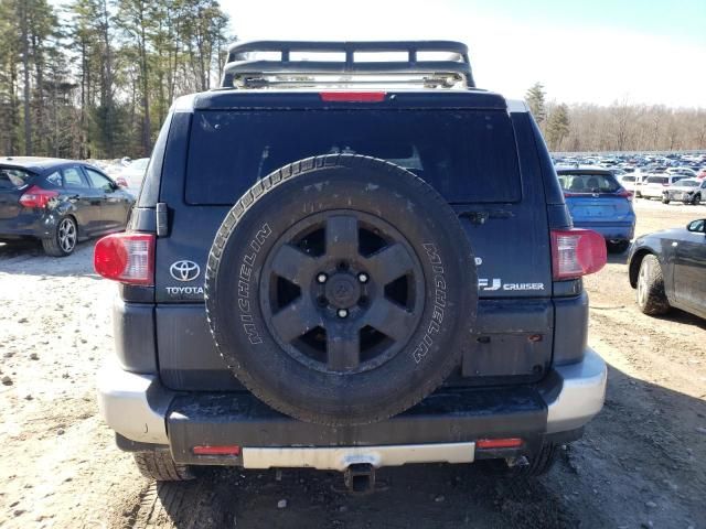 2007 Toyota FJ Cruiser