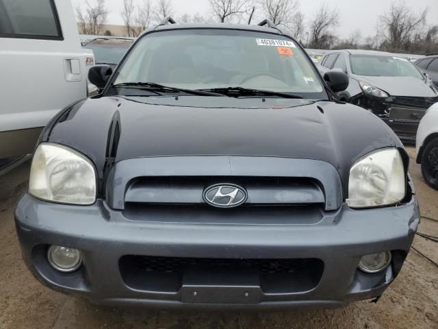 2006 Hyundai Santa FE GLS