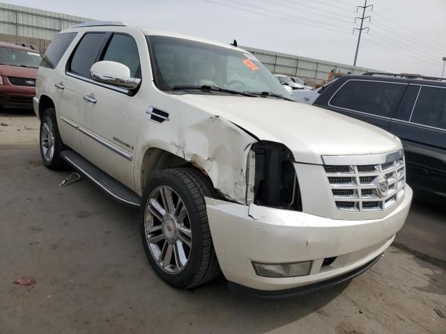 2009 Cadillac Escalade Luxury