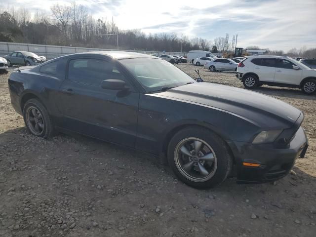 2013 Ford Mustang