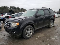 Salvage cars for sale at Mendon, MA auction: 2011 Ford Escape XLT