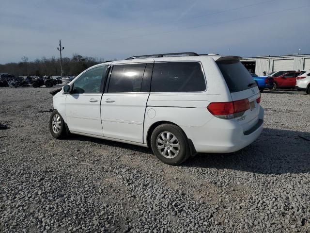 2008 Honda Odyssey EXL