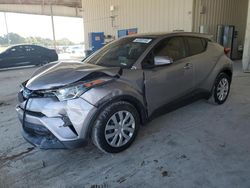 Salvage cars for sale at Homestead, FL auction: 2019 Toyota C-HR XLE