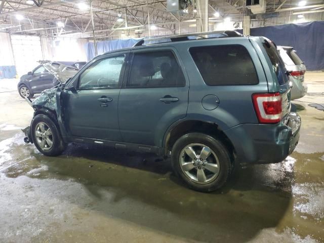 2011 Ford Escape Limited