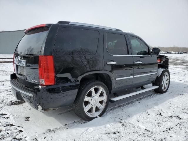 2010 Cadillac Escalade Premium